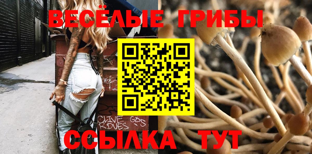 Псилоцибиновые грибы Psilocybe Алушта