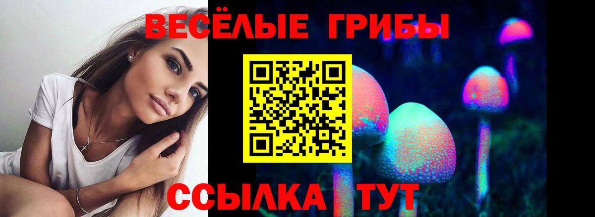 Псилоцибиновые грибы мухоморы  Вход с VPN  Псилоцибиновые грибы Psilocybine cubensis  Алушта 